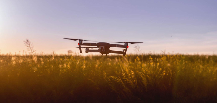 Agriculture Artificial Intelligence